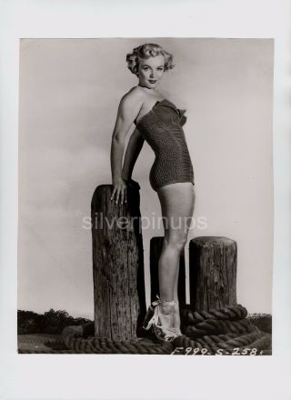 Orig 1951 MARILYN MONROE in Swimsuit.  RARE PIN - UP Portrait.  GORGEOUS 2