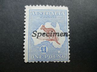 Kangaroo Stamps: £1 Specimen 1st Watermark - Rare (d185)