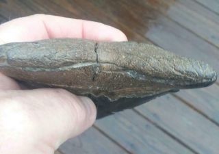 5 3/8  MEGALODON SHARK TOOTH RARE FOSSIL.  MEGA LARGE.  AS ALWAYS NO REPAIRS 3