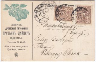1919 Russia Ukraine Odessa Firm Advertising Postal Stationery Card Fruit Rare