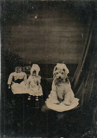 63384.  Rare Circa 1870s Tintype Photo Of Girl 